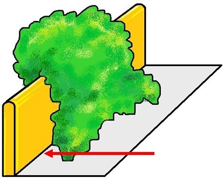 Diagram showing boundary line