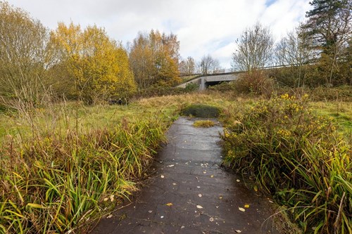 The existing Beechcliffe Site.