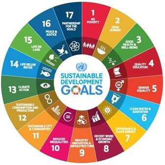 Sustainable development goals